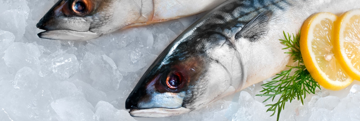 Royal Mackerel in oil